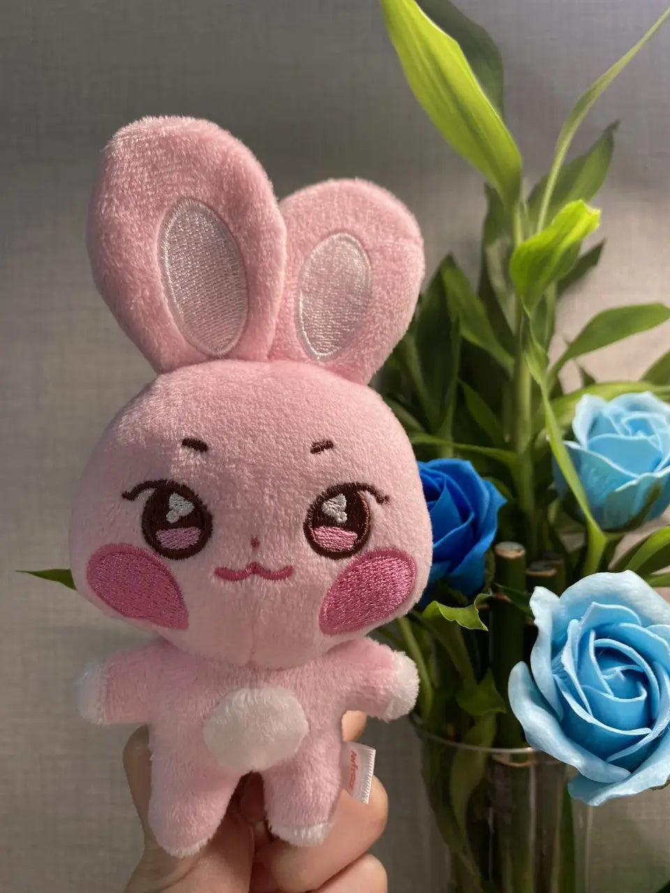 Kpop Aniteez Kawaii Plushies Toy Room Decor