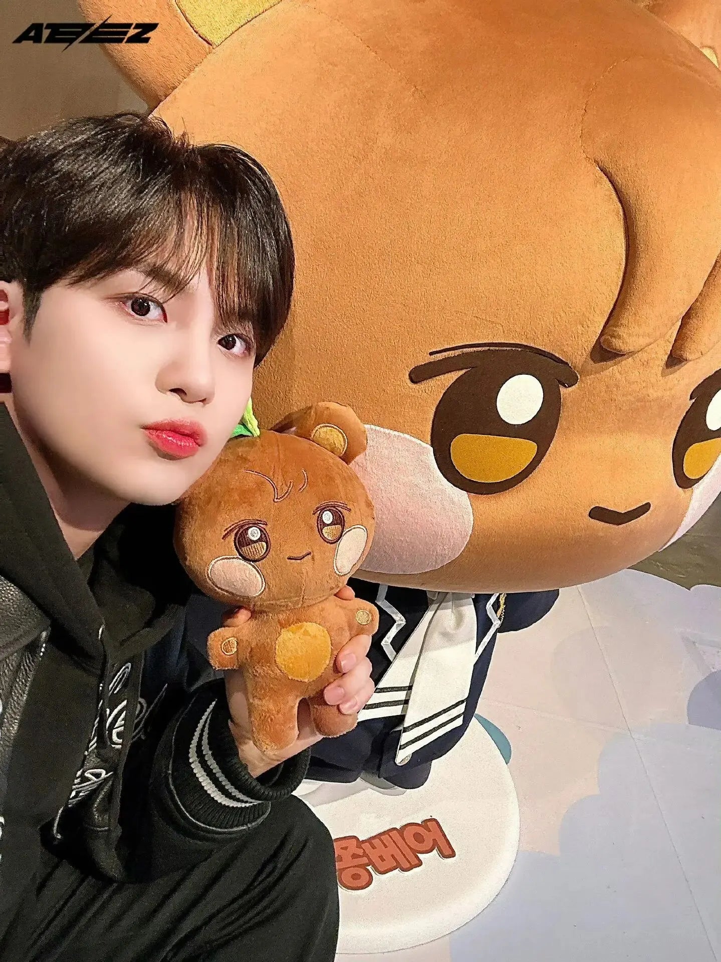 Kpop Aniteez Kawaii Plushies Toy Room Decor